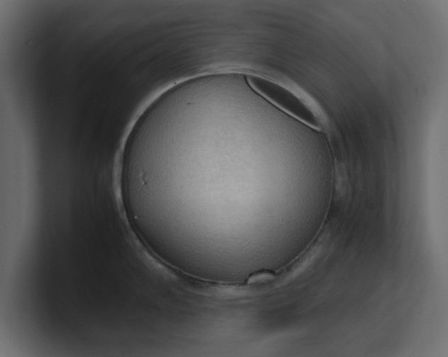 X0000100481102200806271157