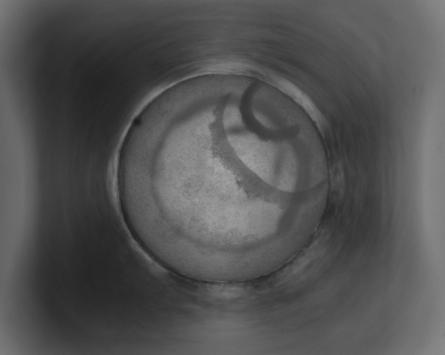 X0000100481103200806271157