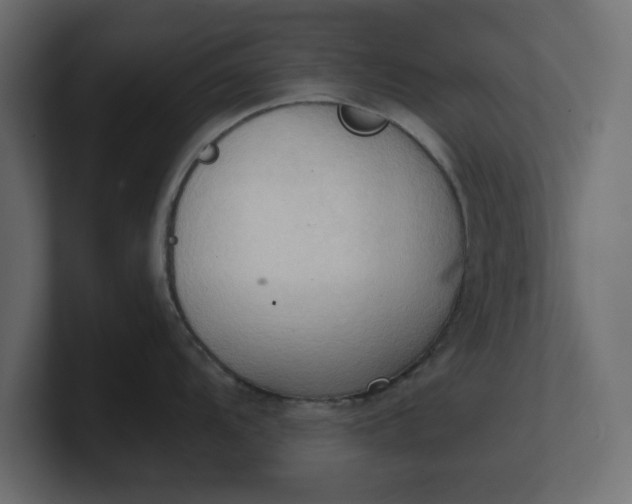 X0000100481104200806271157
