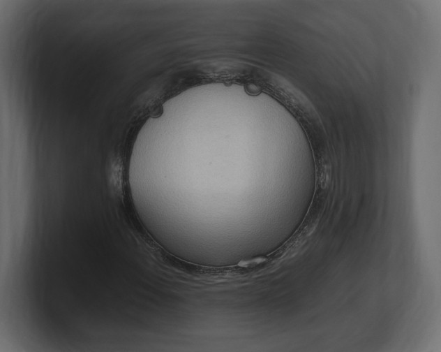 X0000100481108200806271156