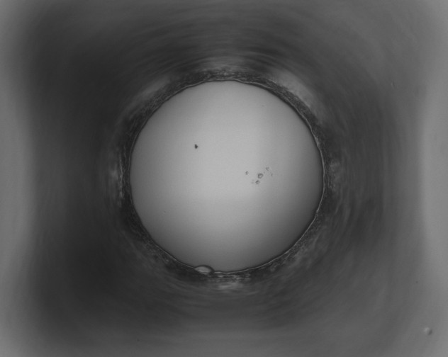 X0000100481111200806271156