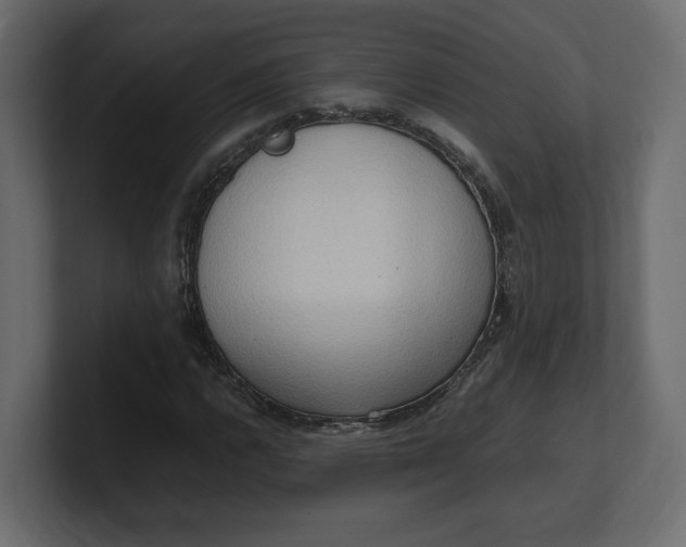 X0000100481112200806271156