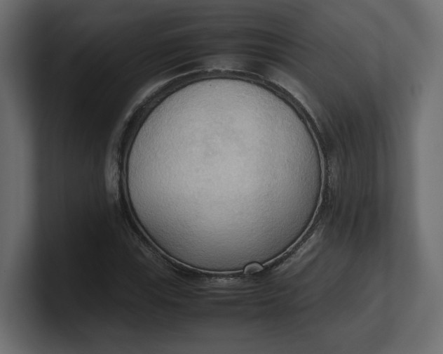 X0000100481115200806271156