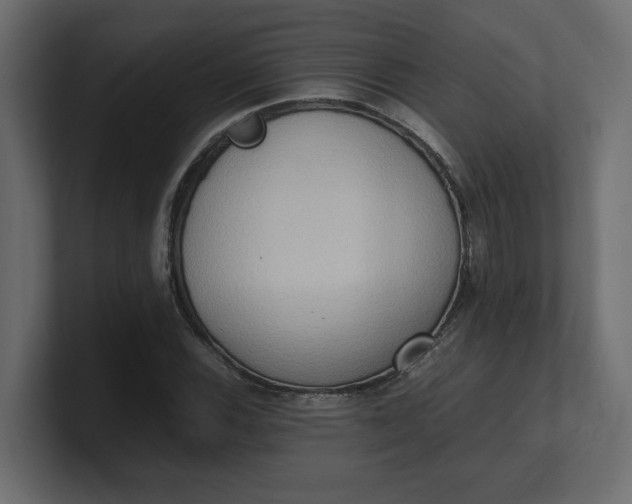 X0000100481116200806271156