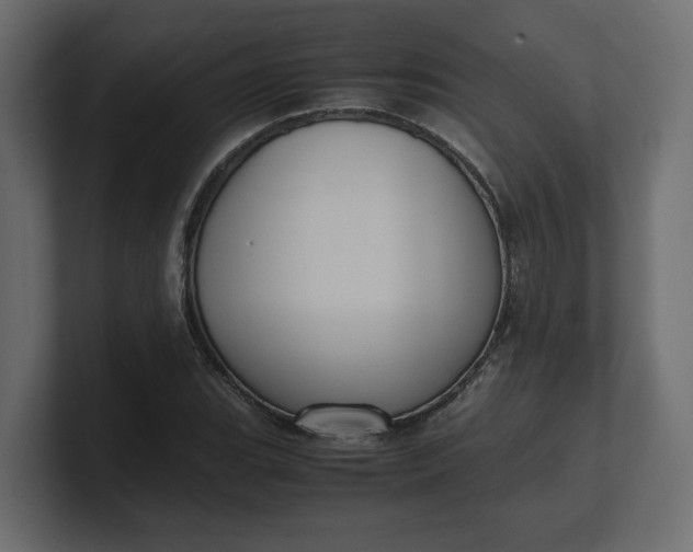 X0000100481119200806271156