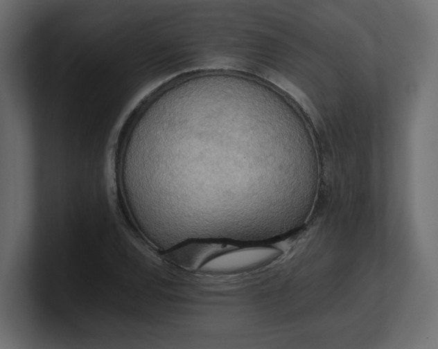 X0000100481120200806271156