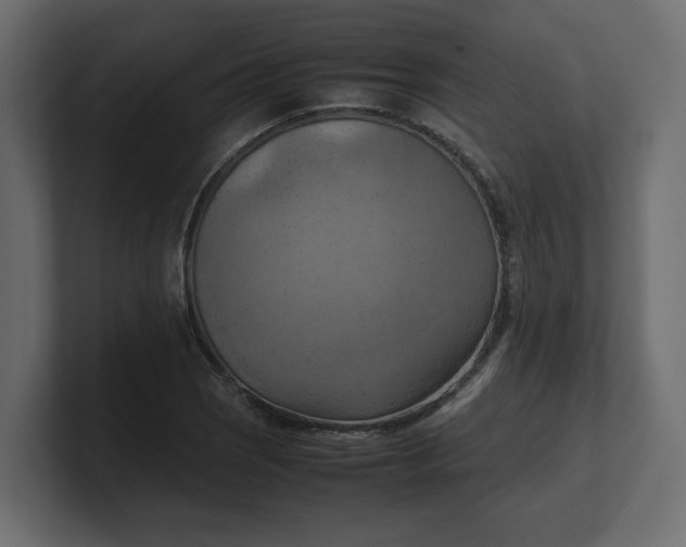 X0000100481121200806271157