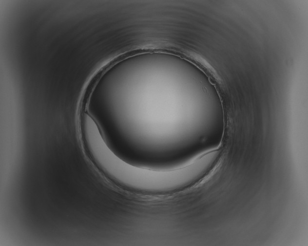 X0000100481122200806271157