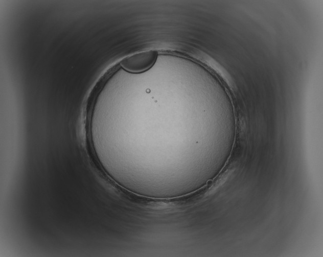 X0000100481124200806271157
