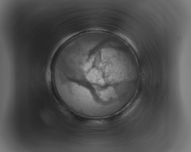 X0000100481125200806271157