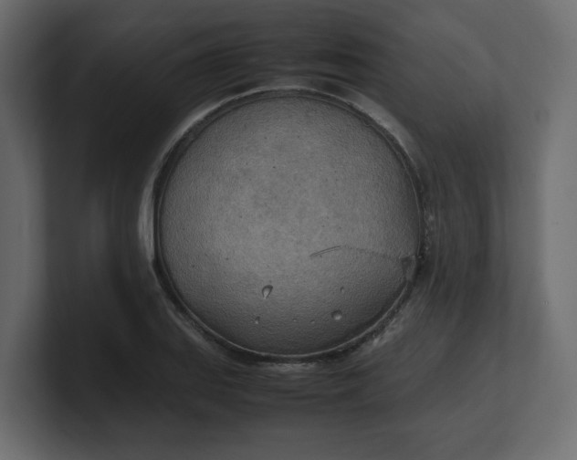 X0000100481127200806271157