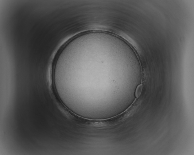 X0000100481128200806271157
