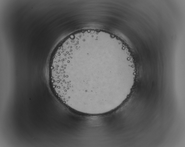 X0000100481130200806271157