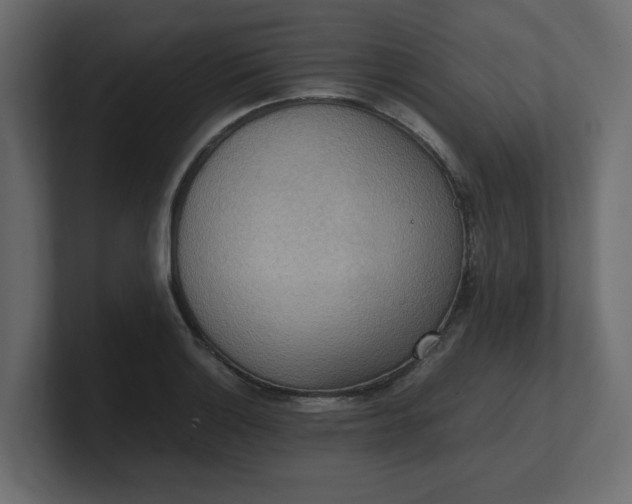 X0000100481132200806271157