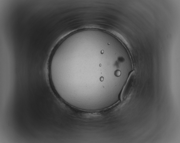 X0000100481133200806271157