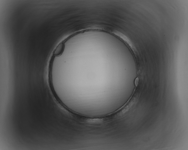X0000100481135200806271157