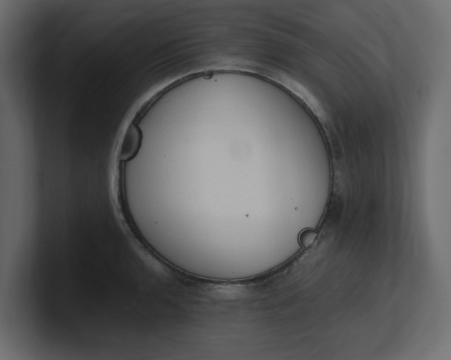 X0000100481136200806271157