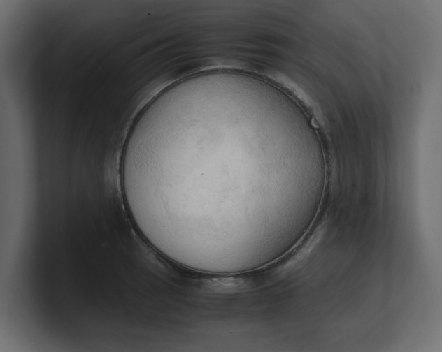 X0000100481137200806271157