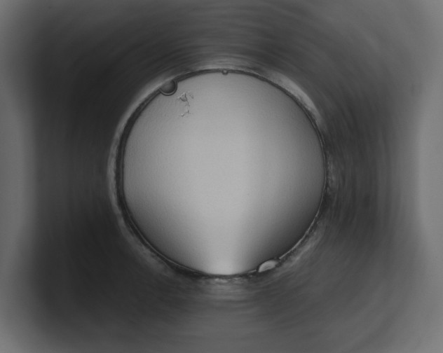 X0000100481138200806271157