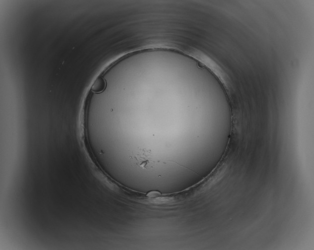 X0000100481140200806271157