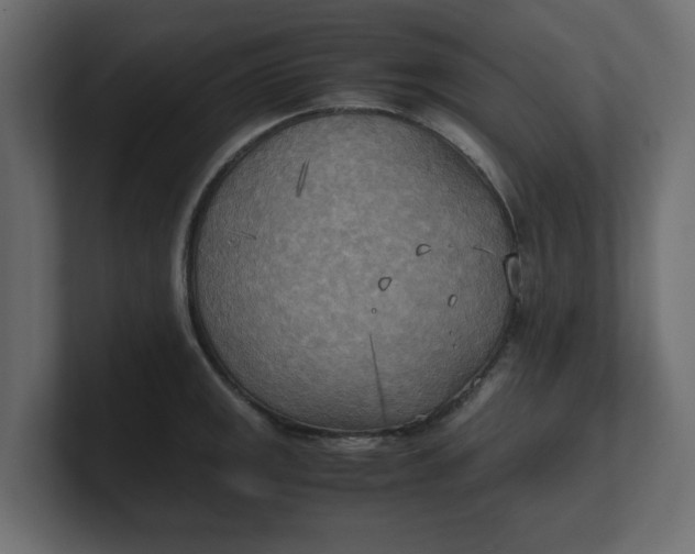 X0000100481141200806271157