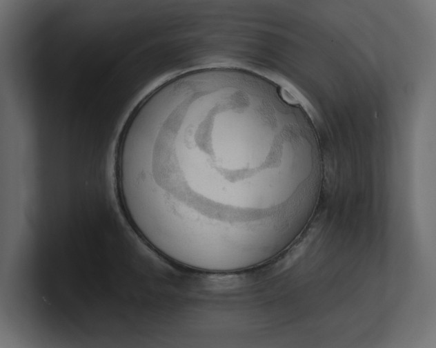 X0000100481142200806271157