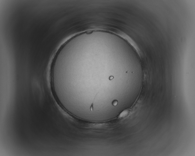 X0000100481143200806271157