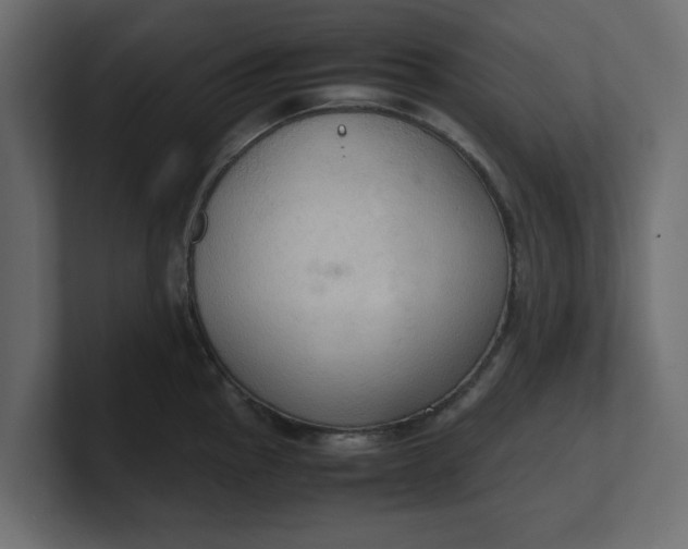 X0000100481145200806271157
