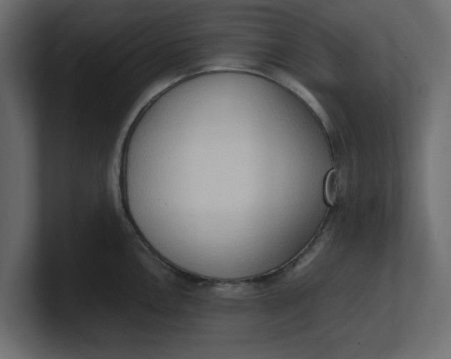 X0000100481146200806271157
