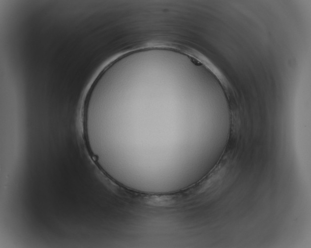 X0000100481148200806271157