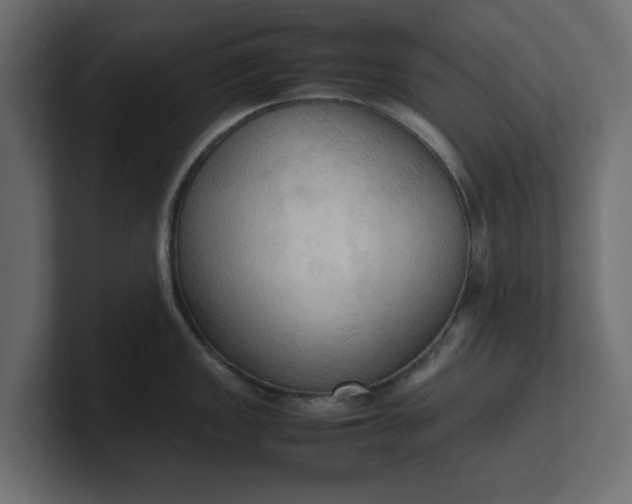 X0000100481149200806271157