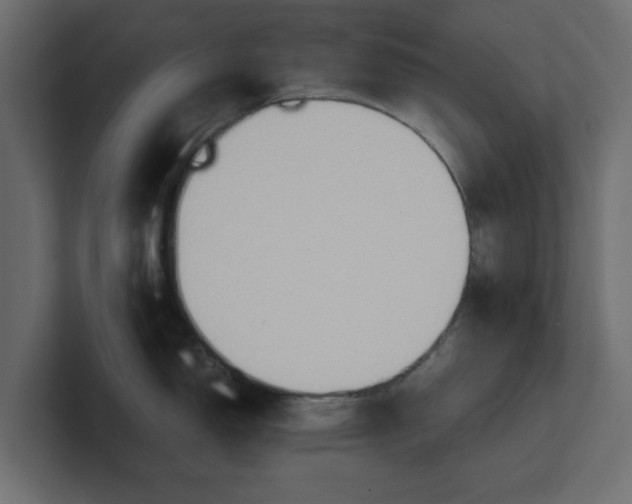 X0000100481150200806271157