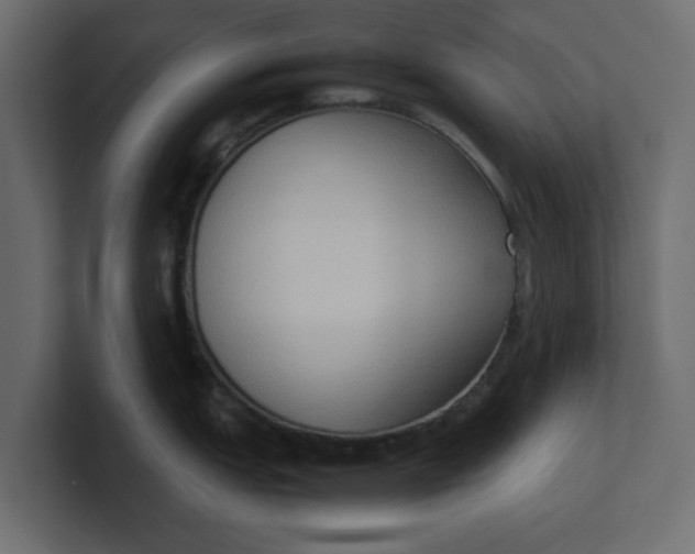 X0000100481151200806271157