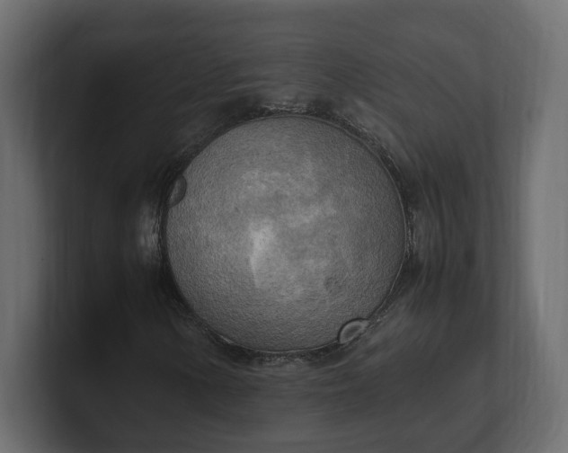 X0000100481154200806271156