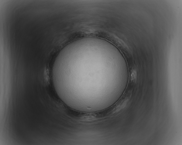 X0000100481156200806271156
