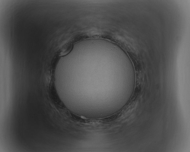 X0000100481157200806271156