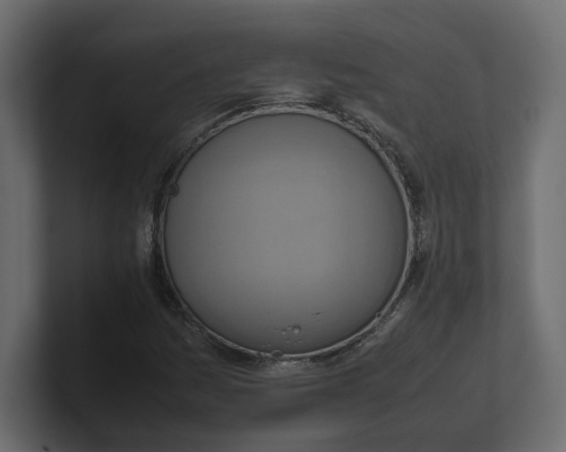 X0000100481161200806271156