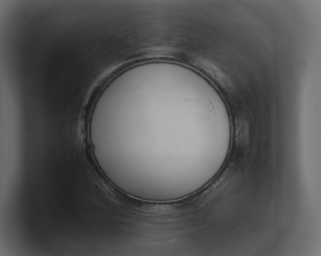 X0000100481164200806271156