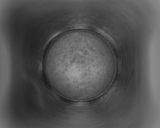X0000100481166200806271156