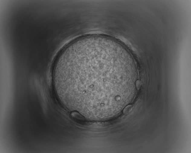 X0000100481167200806271156