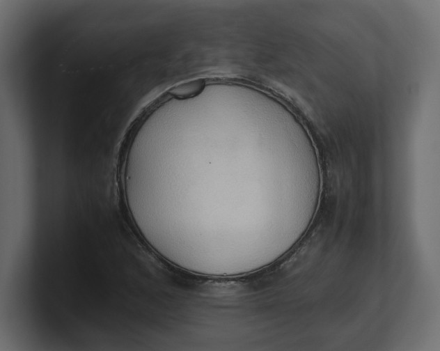 X0000100481168200806271156