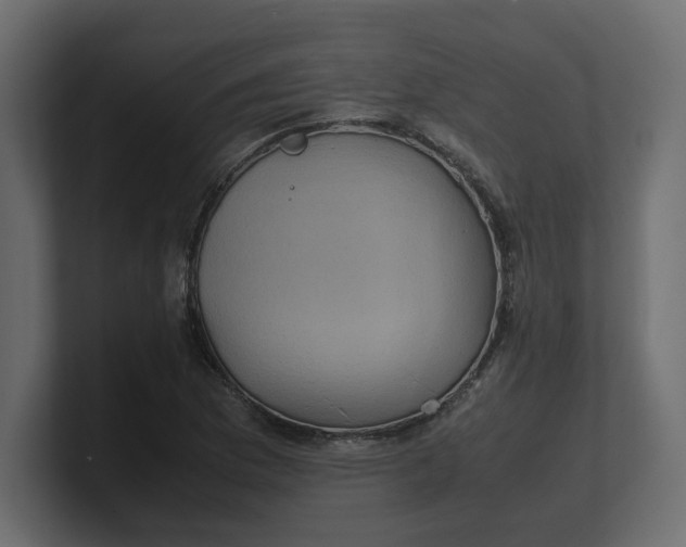 X0000100481169200806271156
