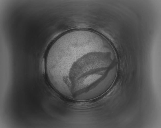 X0000100481171200806271156