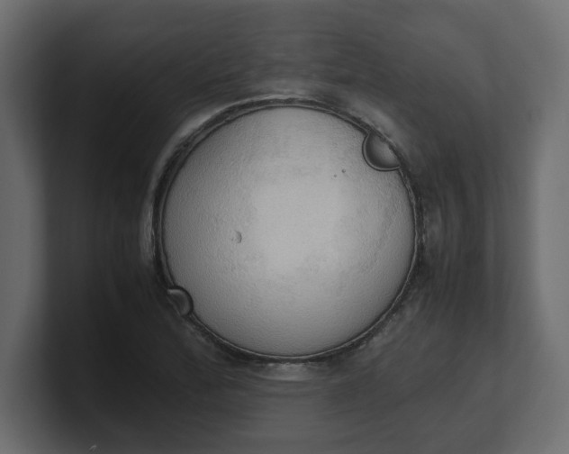 X0000100481172200806271156