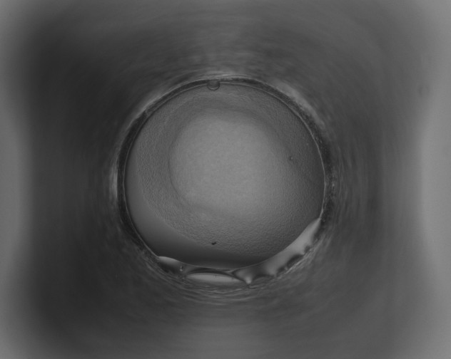 X0000100481173200806271156