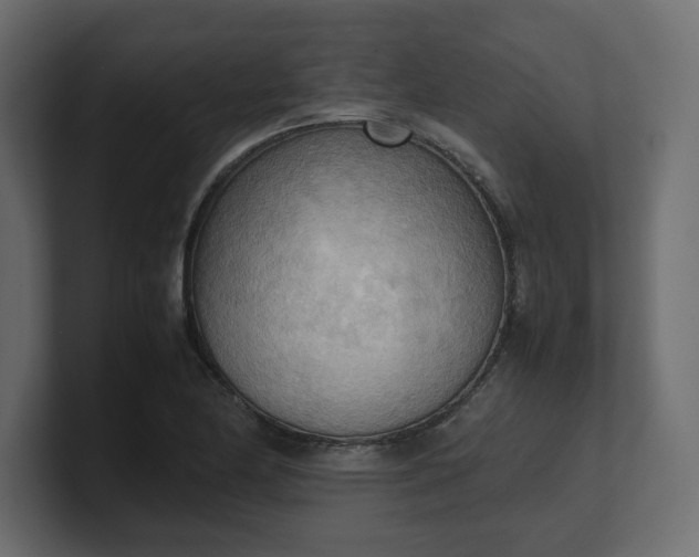 X0000100481174200806271156