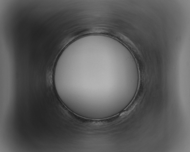 X0000100481177200806271156