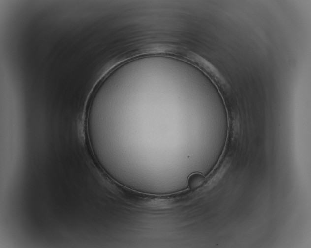 X0000100481178200806271156
