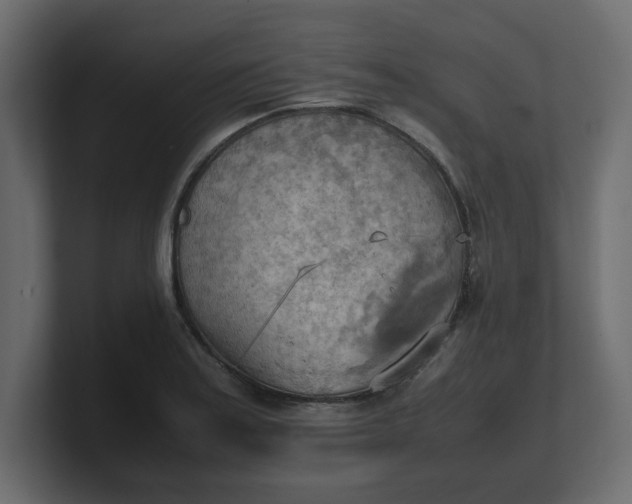 X0000100481179200806271156