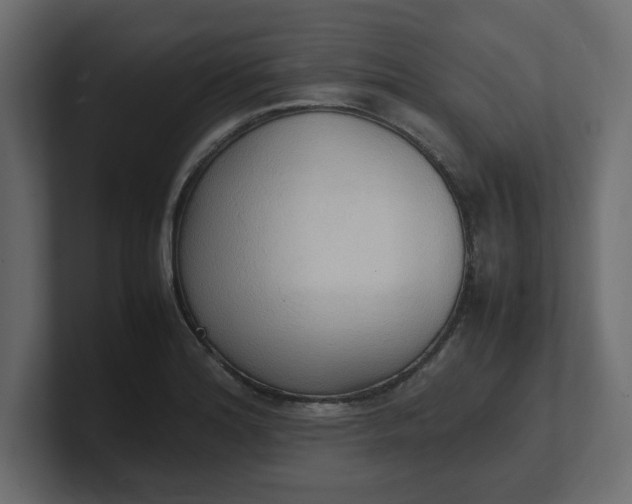 X0000100481180200806271156